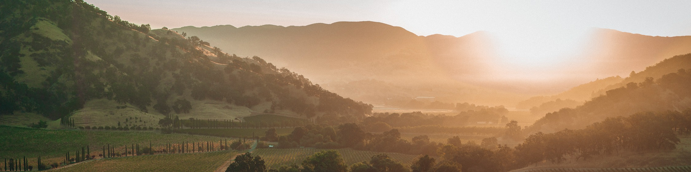 Header Image